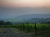 Chianti region in Tuscany